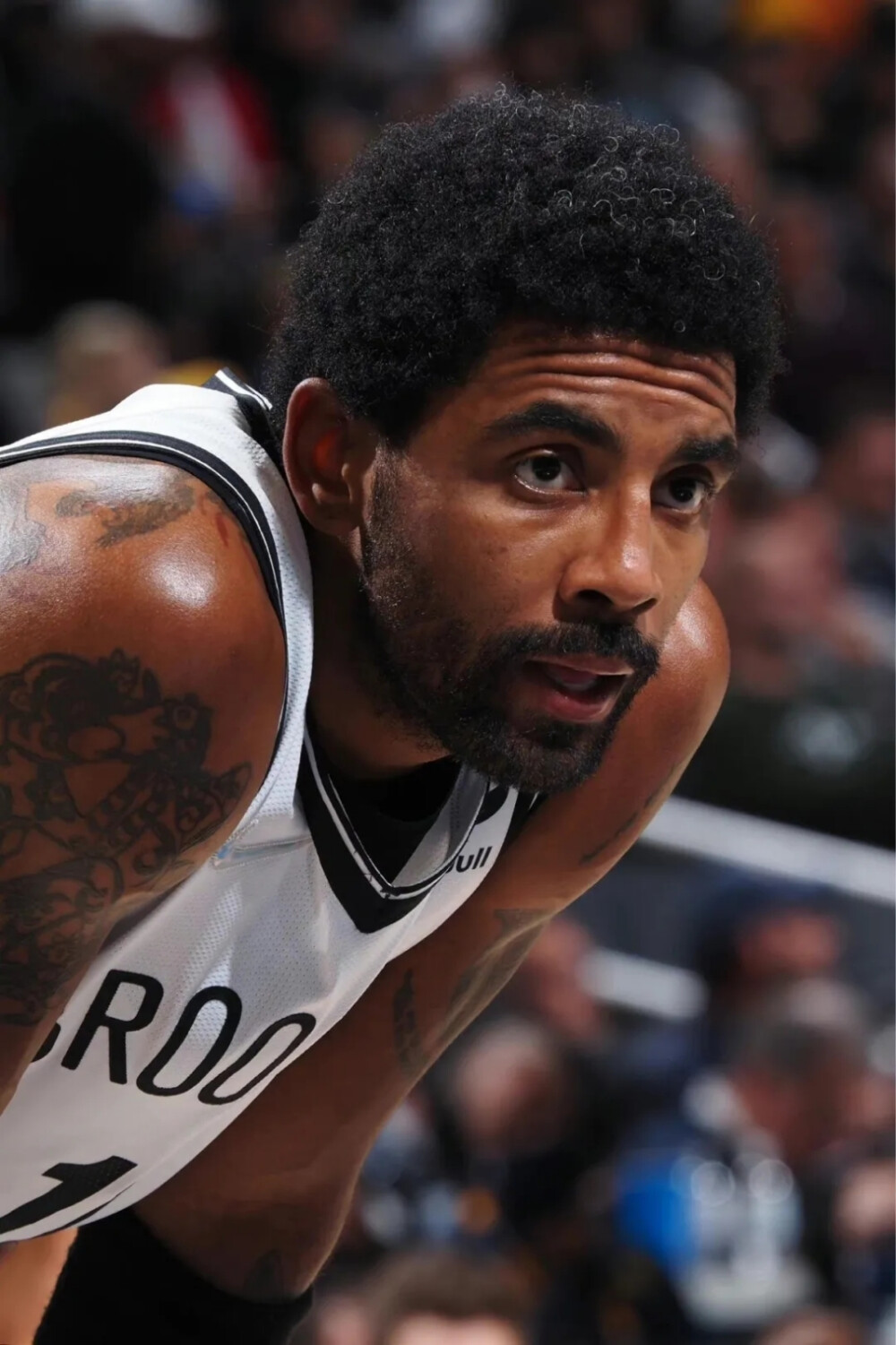 养日本选手 养日本选手